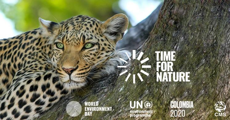 Statement by Amy Fraenkel, Executive Secretary of the Convention on the  Conservation of Migratory Species of Wild Animals on World Environment Day  2020