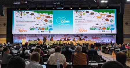 IPBES Sitzung in Bonn