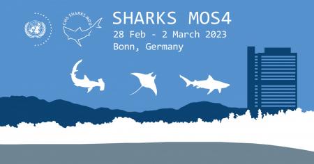 Sharks MOS4 banner / UNEP CMS