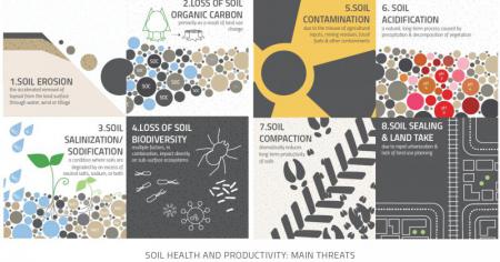 World  Soil Day